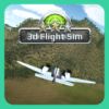3d-flight-sim