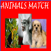animals-match