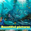 beautiful-pictures