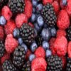 berries-slider