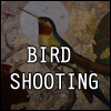 bird-shooting-