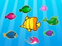 colorful-fish-matching