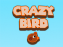 crazy-bird