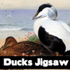 ducks-jigsaw