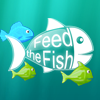 feed-the-fish