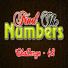 find-the-numbers-42