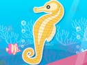finding-seahorses