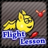 flight-lesson