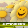 flower-meadow