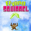 flying-squirrel
