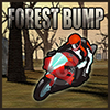 forest-bump
