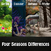 four-seasons-differences