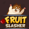 fruit-slasher