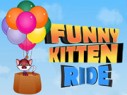 funny-kitten-ride