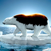 greenpeace-polar-bear