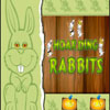 hoarding-rabbits