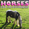 horses-find-the-differences