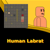 human-labrat
