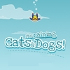 its-raining-cats-and-dogs