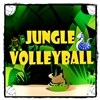jungle-volleyball