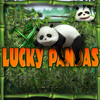 lucky-pandas