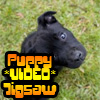 puppy-video-jigsaw