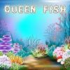 queen-fish