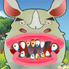 rhino-tooth-problems