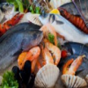 seafood-hidden-images