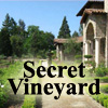 secret-vineyard