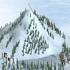 ski-race