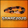 snake-20-20