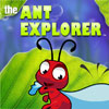 the-ant-explorer