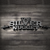 the-silver-nugget