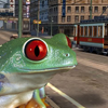 A Frog in City