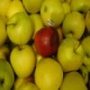Manzana deslizante