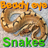 BeadyEye: Serpientes