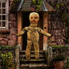 Embrujada muñeca horribles casa