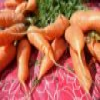 Zanahorias deslizante