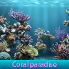 Coral paraíso
