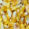 Corn Kernels deslizante