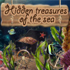 Hidden Treasures Of The Sea