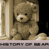 Historia del oso. Encuentra objetos