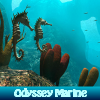 Odyssey Marine