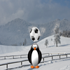 Pingüino Soccer Star