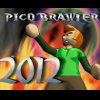 Pico Brawler 2012