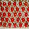 Red Beads deslizante