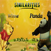 Similarities – Winnie and Panda