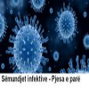 Sëmundjet infektive – Pjesa e parë