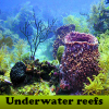 Arrecifes submarinos